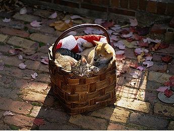 《星之海洋6：神圣力量》新预告 介绍神秘物体“DUMA”